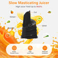 Manual Fruit & Vegetable Juicer | Hand Press Juicer for Fresh Juice at Home